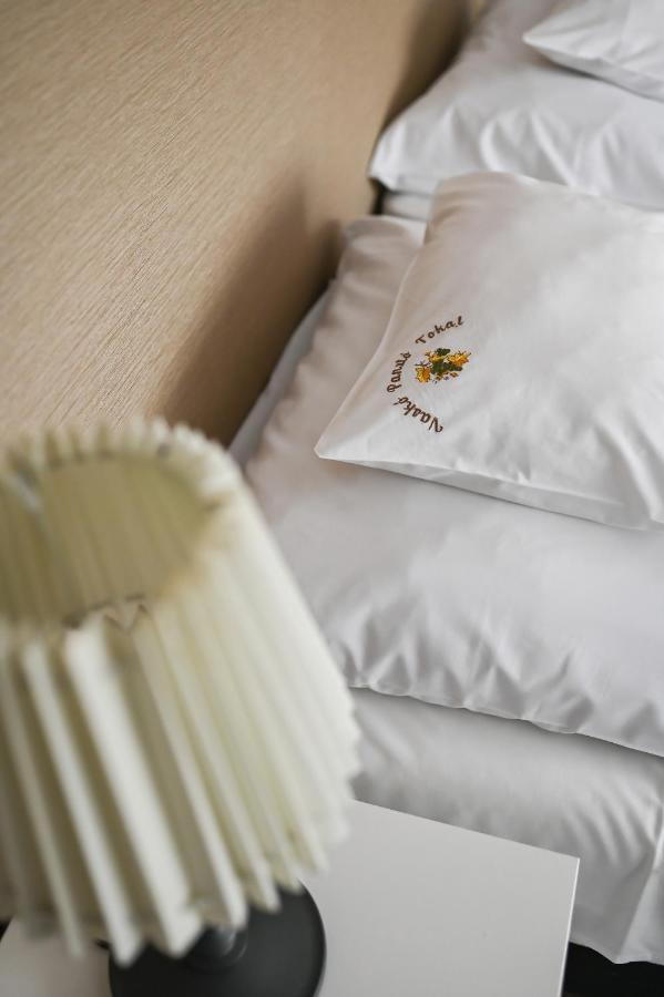 Vasko Panzio Borpince Bed & Breakfast Tokaj Ngoại thất bức ảnh