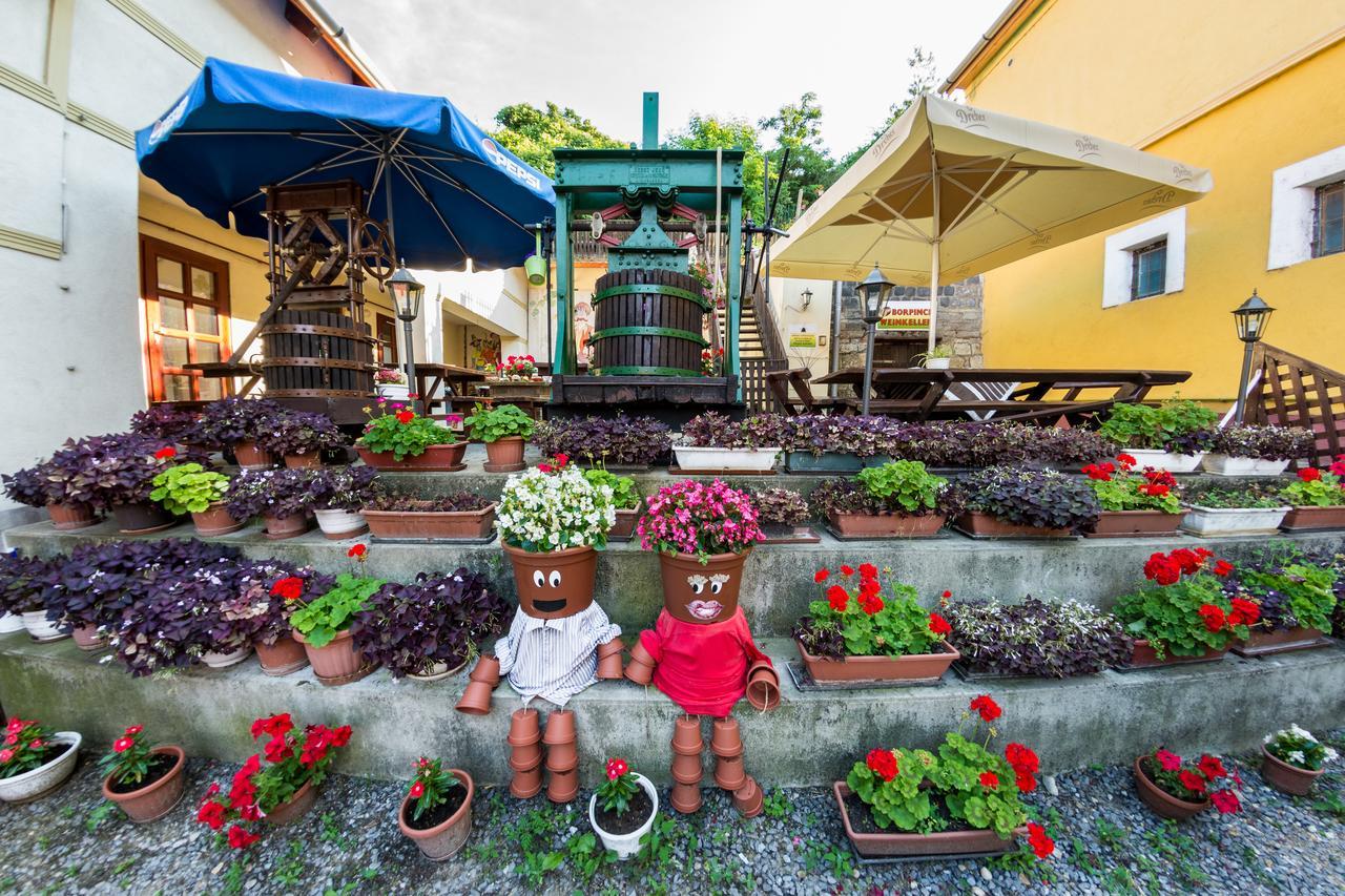 Vasko Panzio Borpince Bed & Breakfast Tokaj Ngoại thất bức ảnh