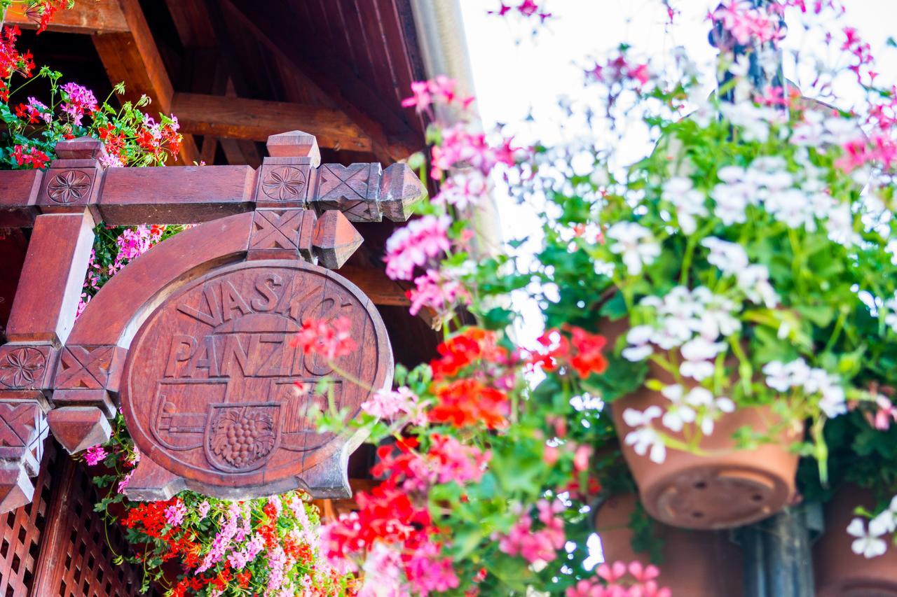Vasko Panzio Borpince Bed & Breakfast Tokaj Ngoại thất bức ảnh